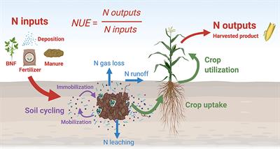 A Research Road Map for Responsible Use of Agricultural Nitrogen